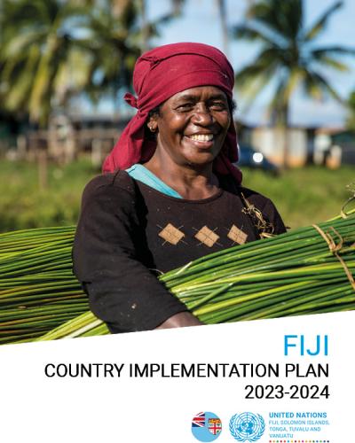 fiji country operations business plan